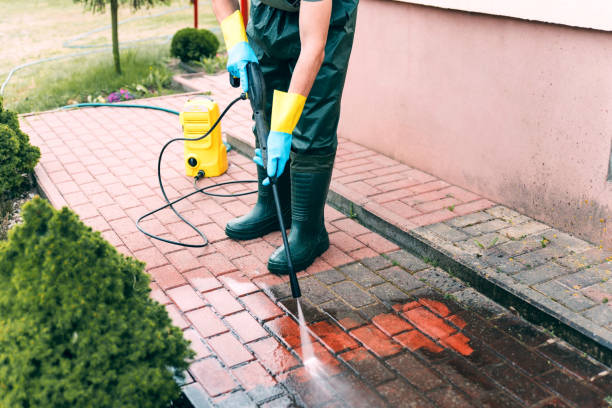 Best Vinyl Siding Pressure Washing in Caribou, ME