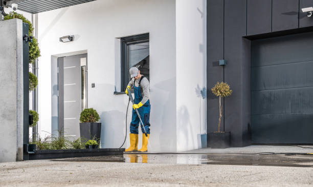 Best Roof Cleaning and Mildew Removal in Caribou, ME